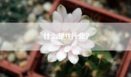 什么是IT行业？