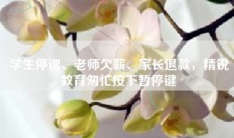 学生停课、老师欠薪、家长退款，精锐教育匆忙按下暂停键