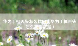 华为手机丢失怎么找回（华为手机丢失怎么找回数据）