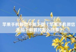 苹果手机微信不能下载（苹果手机微信不能下载照片怎么回事）