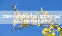 苹果手机微信不能下载（苹果手机微信不能下载照片怎么回事）