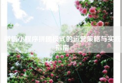 微信小程序拼团模式的运营策略与实践指南
