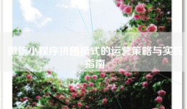 微信小程序拼团模式的运营策略与实践指南