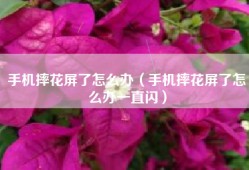 手机摔花屏了怎么办（手机摔花屏了怎么办一直闪）