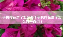 手机摔花屏了怎么办（手机摔花屏了怎么办一直闪）