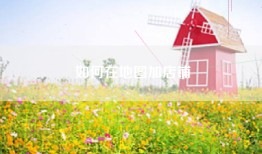 如何在地图加店铺