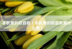 手机里的收音机（手机里的收音机有什么用）