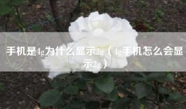 手机是4g为什么显示2g（4g手机怎么会显示2g）