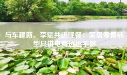 与车建新、李斌共进晚餐：家居零售转型只讲电商远远不够