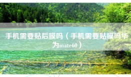 手机需要贴后膜吗（手机需要贴膜吗华为mate60）