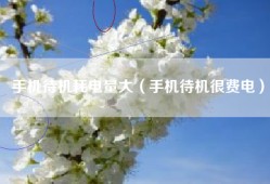手机待机耗电量大（手机待机很费电）