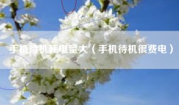 手机待机耗电量大（手机待机很费电）
