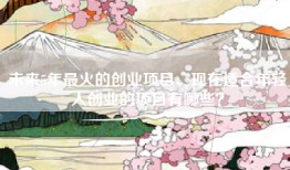 未来5年最火的创业项目、现在适合年轻人创业的项目有哪些？