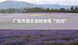 广东外贸企业转身练“内功”