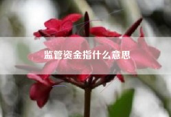 监管资金指什么意思