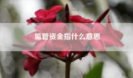 监管资金指什么意思