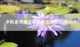 手机老发烫（手机老发烫怎么办vivo）