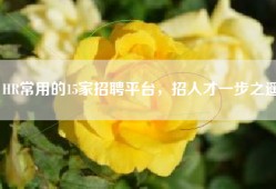 HR常用的15家招聘平台，招人才一步之遥