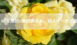 HR常用的15家招聘平台，招人才一步之遥