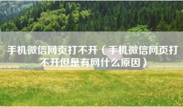 手机微信网页打不开（手机微信网页打不开但是有网什么原因）