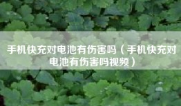 手机快充对电池有伤害吗（手机快充对电池有伤害吗视频）