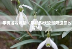 手机游戏流量（手机游戏流量限速怎么解除）