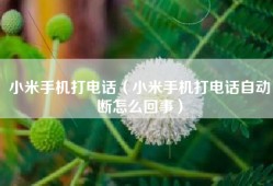 小米手机打电话（小米手机打电话自动断怎么回事）