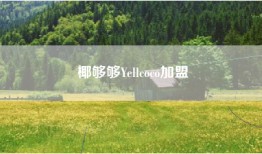 椰够够Yellcoco加盟