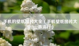 手机的壁纸图片大全（手机壁纸图片大全2022最流行）
