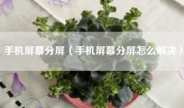手机屏幕分屏（手机屏幕分屏怎么解决）