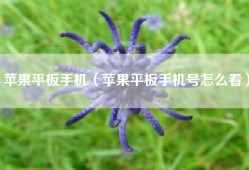 苹果平板手机（苹果平板手机号怎么看）
