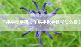 苹果平板手机（苹果平板手机号怎么看）