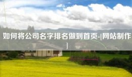 如何将公司名字排名做到首页-[网站制作]