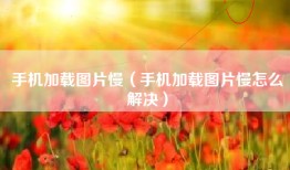 手机加载图片慢（手机加载图片慢怎么解决）