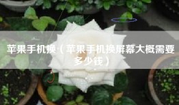 苹果手机换（苹果手机换屏幕大概需要多少钱）
