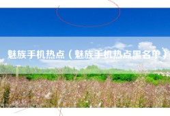 魅族手机热点（魅族手机热点黑名单）