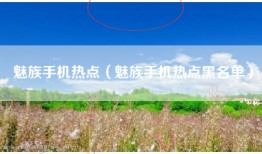 魅族手机热点（魅族手机热点黑名单）