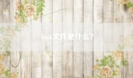 bmk文件是什么？