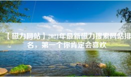【磁力网站】2021年最新磁力搜索网站排名，第一个你肯定会喜欢