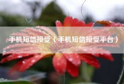 手机短信接受（手机短信接受平台）