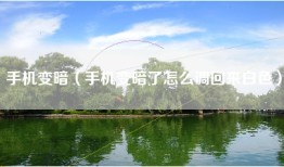 手机变暗（手机变暗了怎么调回来白色）
