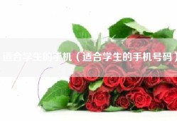 适合学生的手机（适合学生的手机号码）