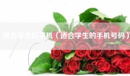 适合学生的手机（适合学生的手机号码）