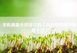 手机销量全球排行榜（手机销量排行榜前十名）