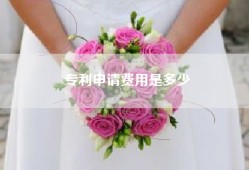 专利申请费用是多少