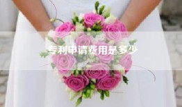 专利申请费用是多少