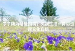 李子柒为啥能圈粉？央视主播：背后透露文化自信