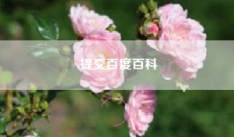 提交百度百科