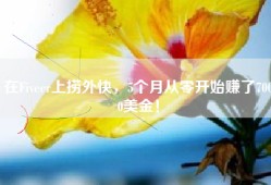 在Fiveer上捞外快，5个月从零开始赚了7000美金！