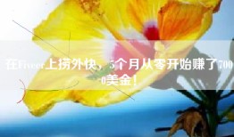 在Fiveer上捞外快，5个月从零开始赚了7000美金！